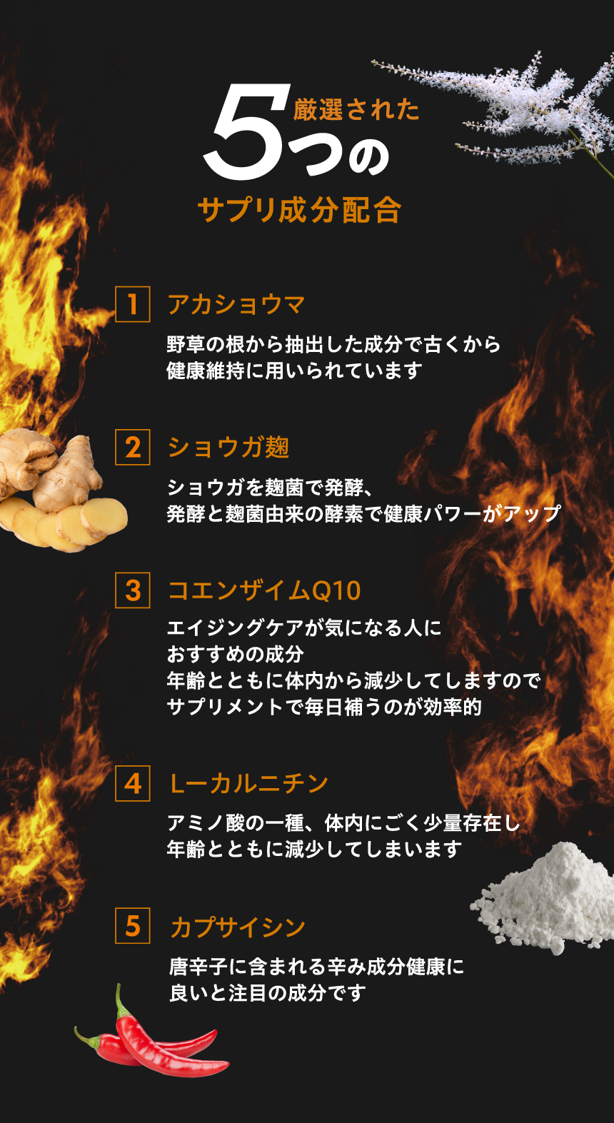バーンラッシュ