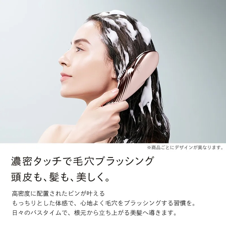 リファイオンケアブラシプレミアム