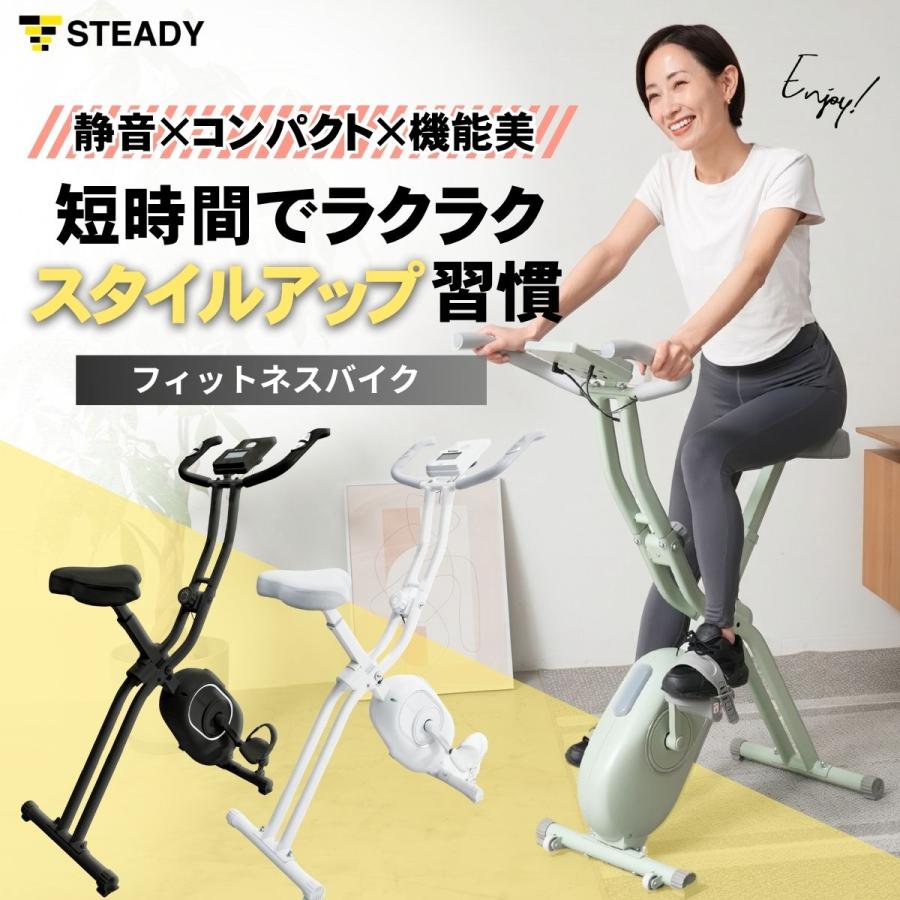 STEADY　フィットネスバイク ST102【送料無料】