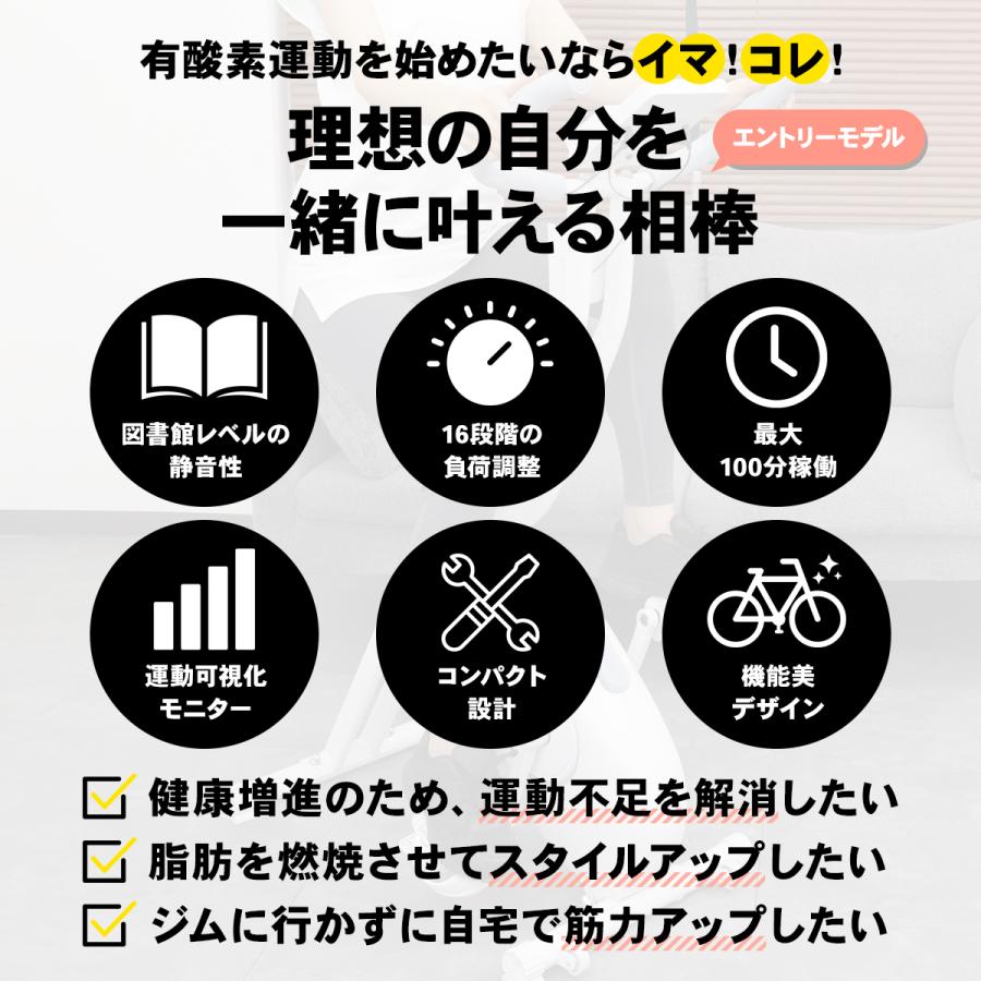 STEADY フィットネスバイク ST102【送料無料】