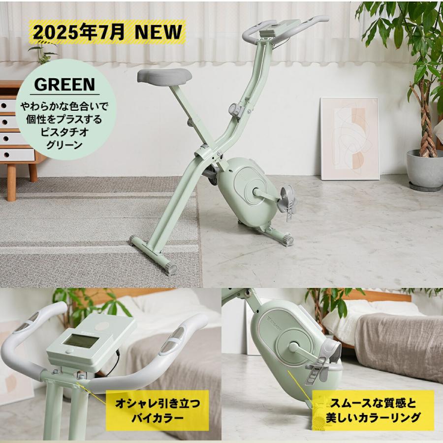 STEADY フィットネスバイク ST102【送料無料】