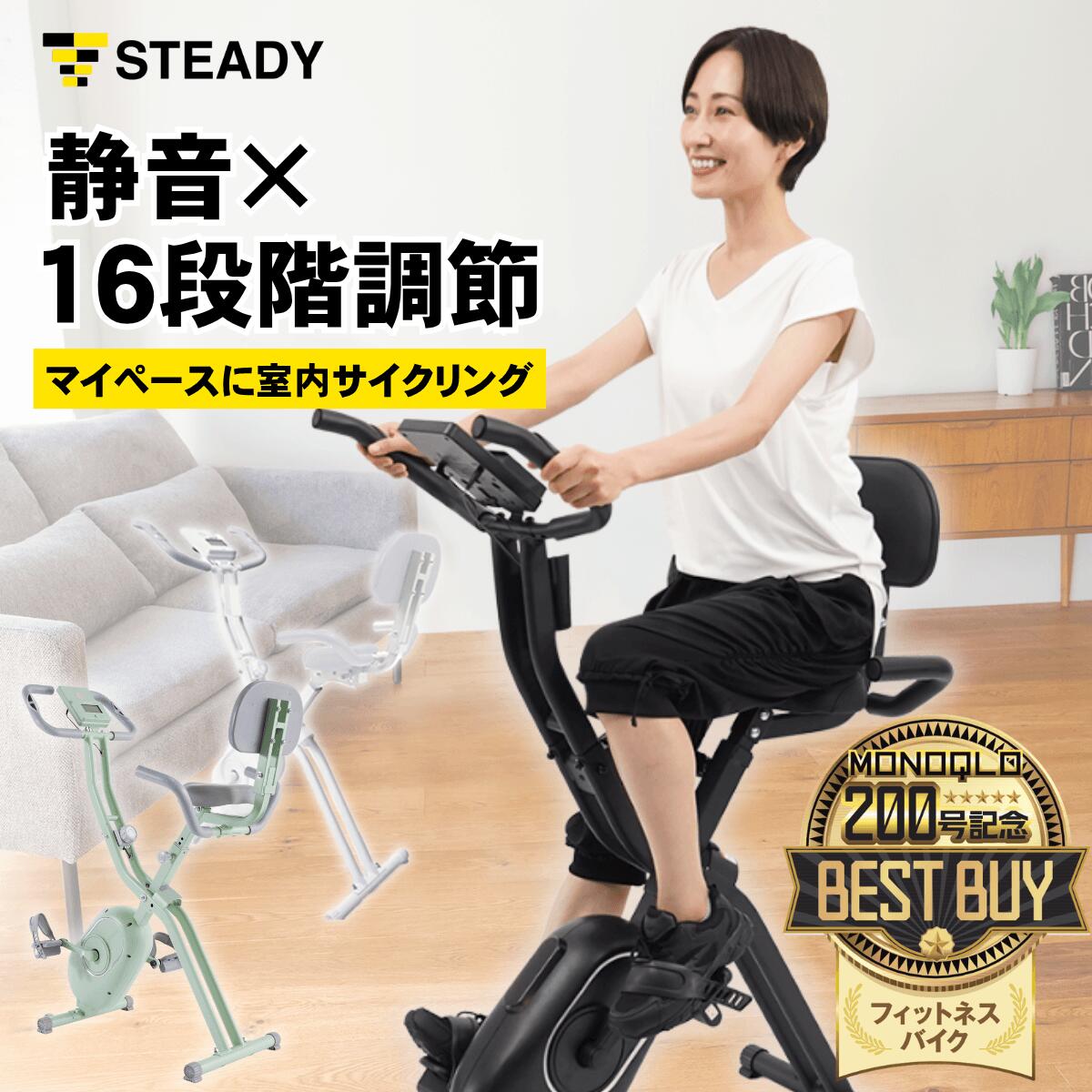 STEADY　背もたれ付きフィットネスバイク ST120【送料無料】