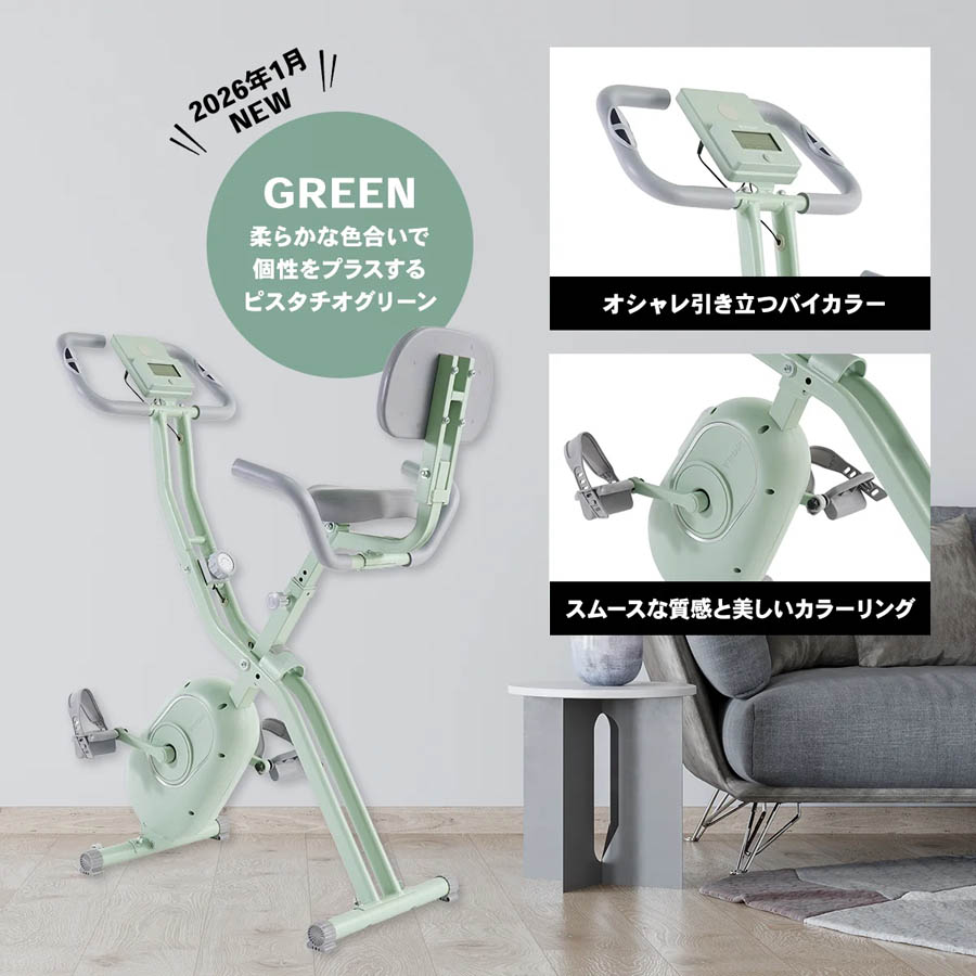 STEADY 背もたれ付きフィットネスバイク ST120【送料無料】