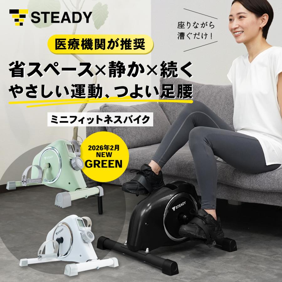 STEADY　ミニフィットネスバイク　ST121【送料無料】