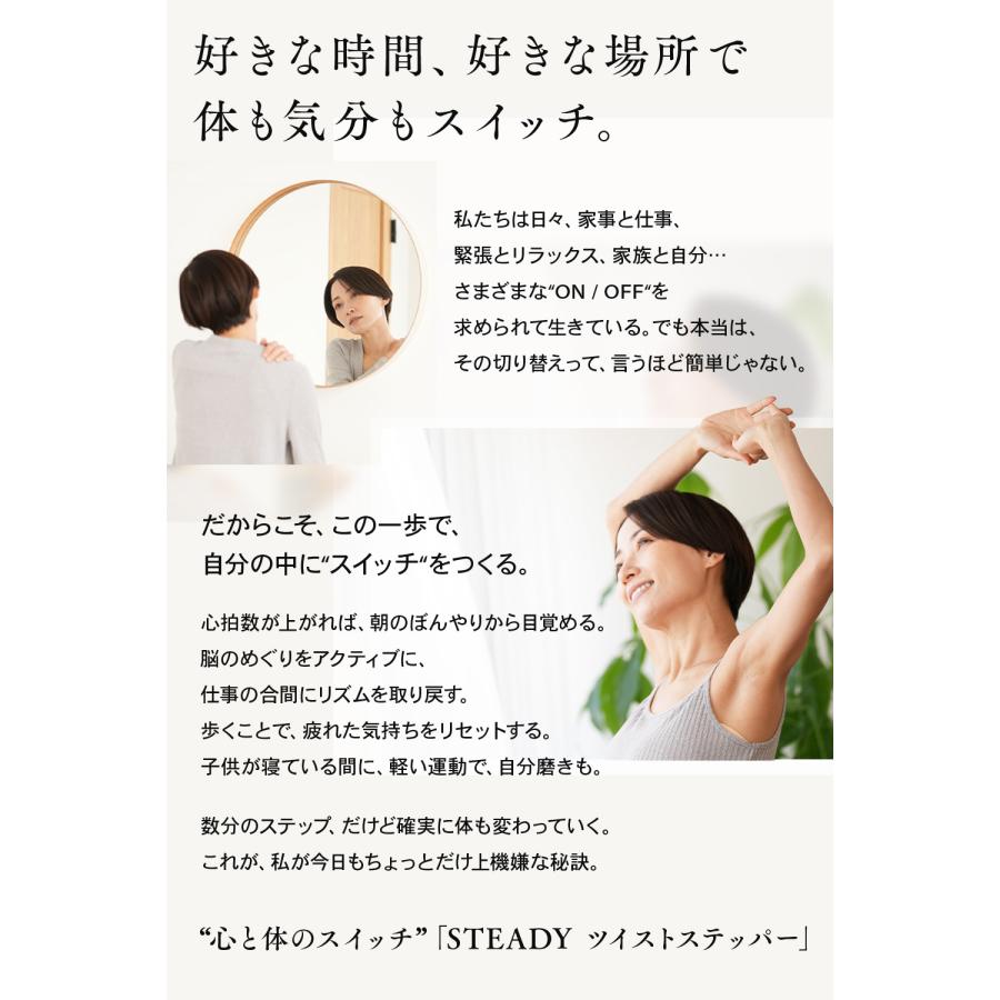 STEADY ツイストステッパー ST158【送料無料】