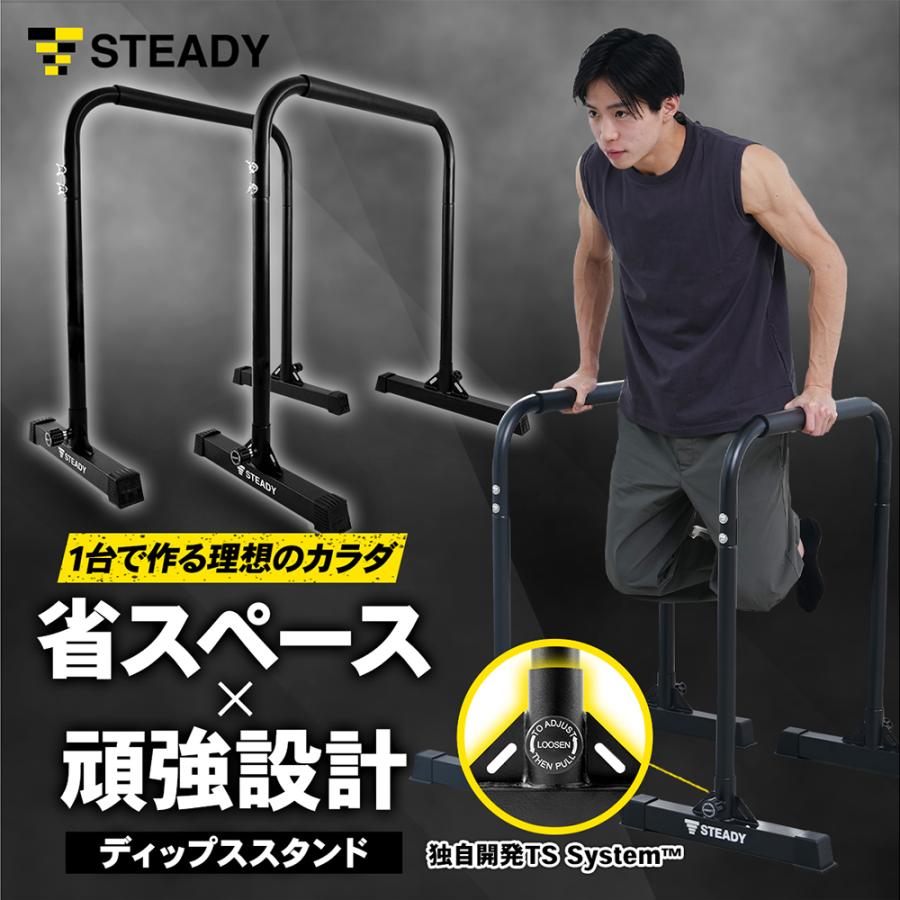 STEADY　ディップススタンド ST126【送料無料】