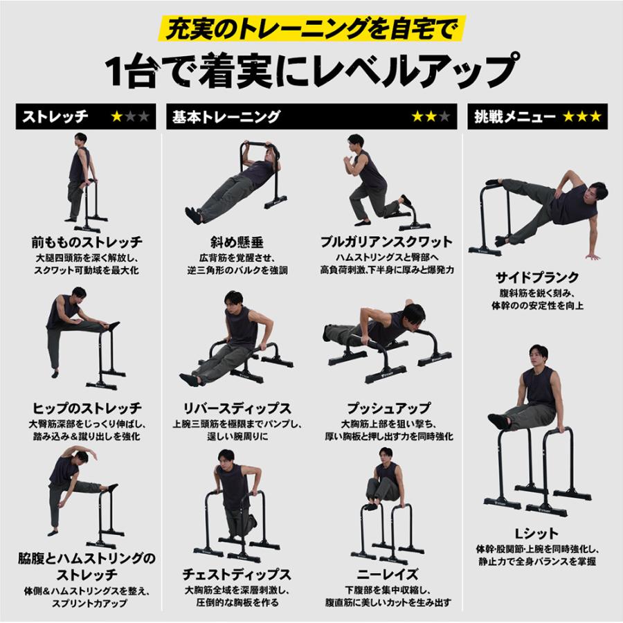 STEADY ディップススタンド ST126【送料無料】
